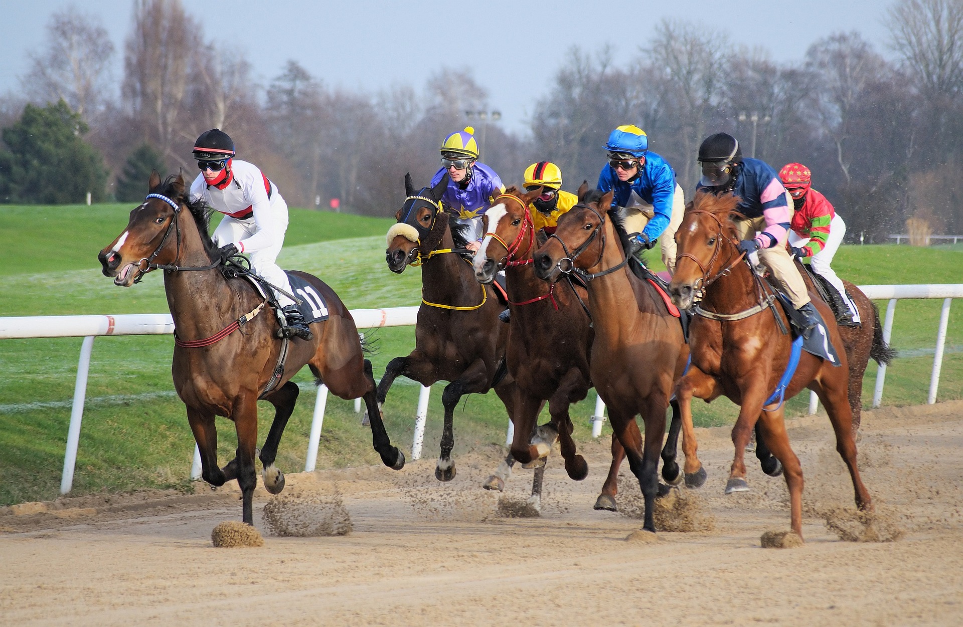 Tips for Horse Race Betting